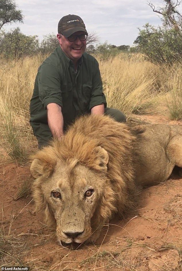 leones maltrato animal