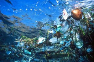 Verschmutzung durch Mikroplastik