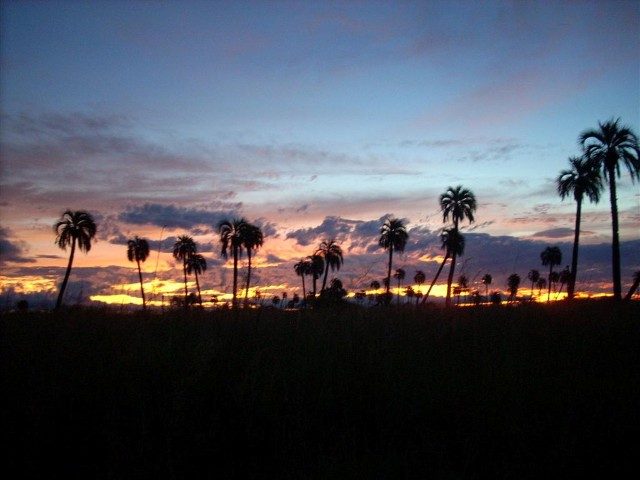 Parque Nacional Mburucuyá Hace 21 años donaron las tierras para su creación