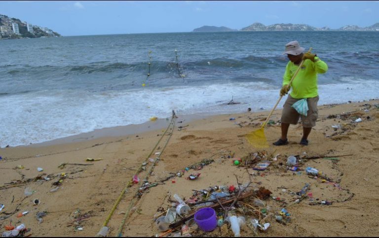 Recolectaron más de toneladas de basura de playas de Acapulco Noticias Ambientales