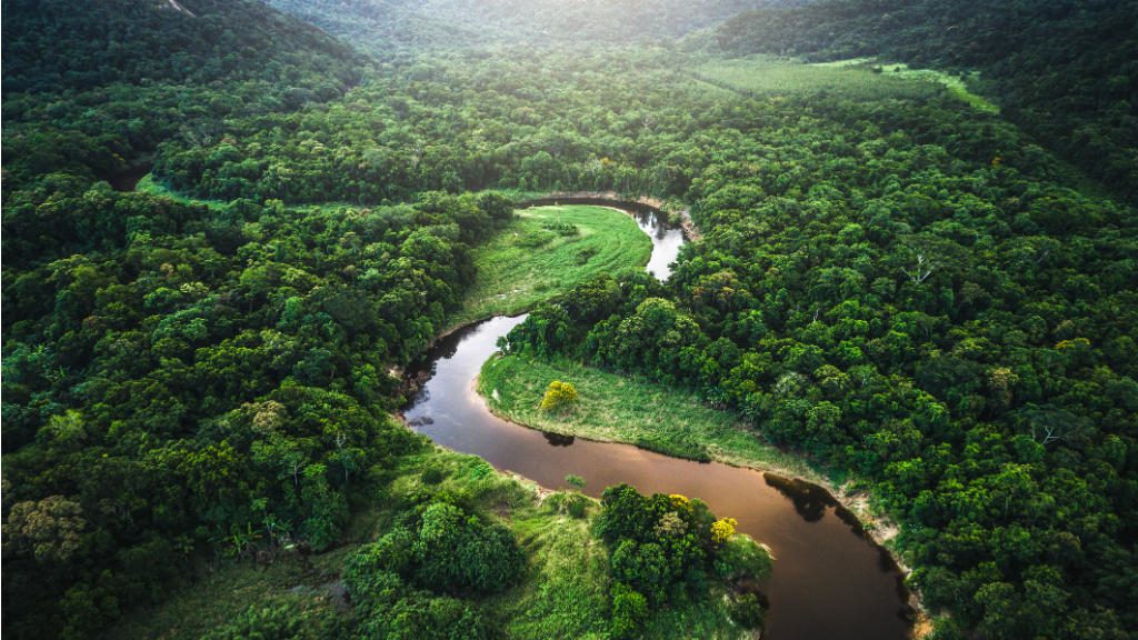 O Brasil possui a maior parte da Amazônia em seu território.