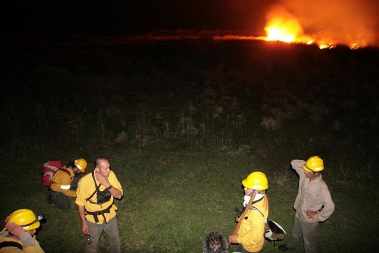 Controlan un incendio de humedales del Parque Nacional Mburucuya