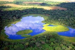 Los humedales son ecosistemas valiosos ya que contienen una gran biodiversidad