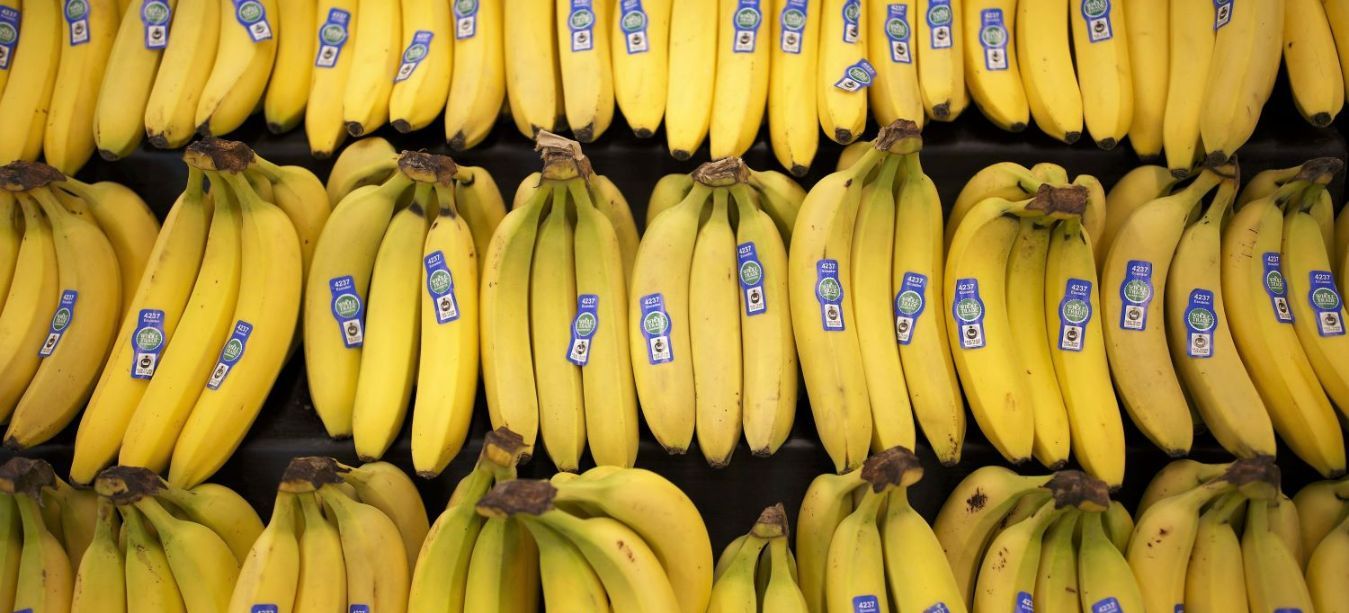 Плантации бананов в Эквадоре. Бананы Эквадор производитель. Складн бананов. 3 бананов в день