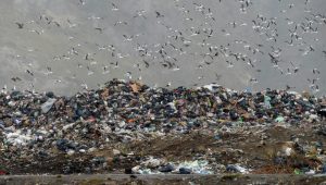 Landfill in Bariloche.