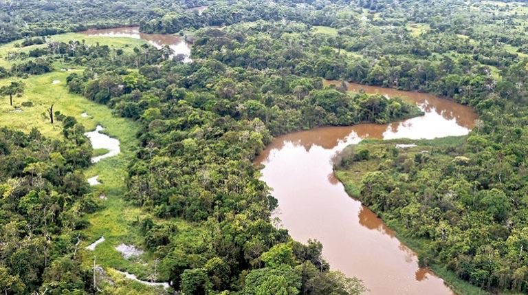 La Amazonía boliviana amenazada por el cambio climático y la deforestación