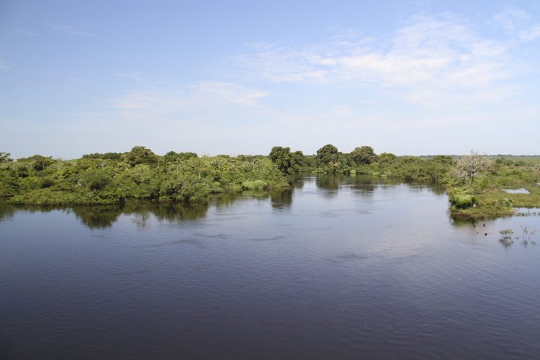 Bolivia: reconocen a ese país la protección del humedal más grande del mundo