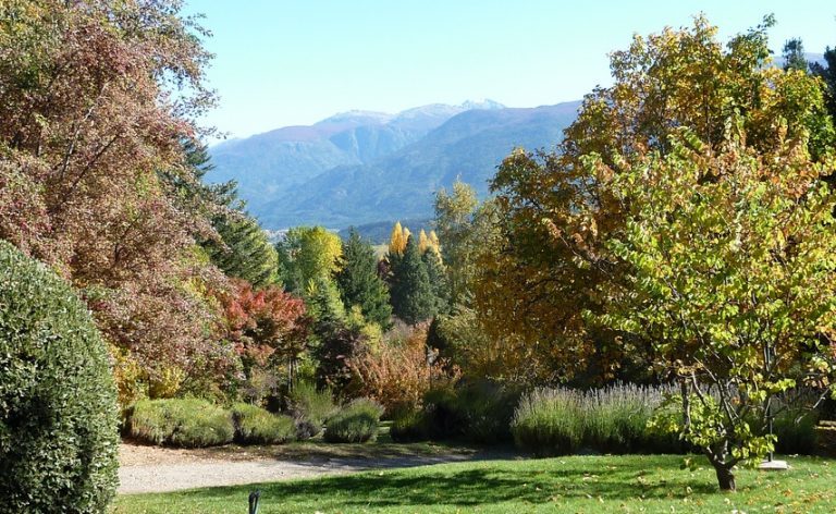Hoy se celebra el Día Internacional de los Bosques