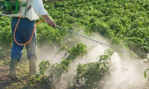 Cómo regularon el uso de agroquímicos en Entre Ríos.