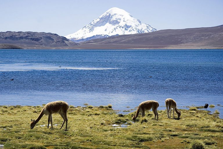 Chile y EE.UU. firmaron un acuerdo de cooperación medioambiental para áreas protegidas