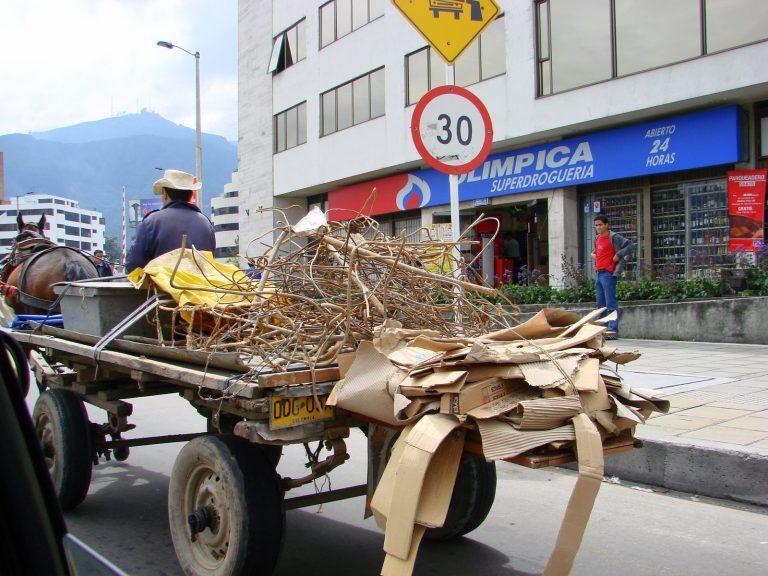 Colombia: comenzó el fin de la tracción animal de Bogotá