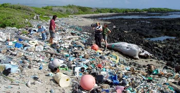 Argentina: Alertan por la alta contaminación en las playas bonaerenses -  Noticias Ambientales