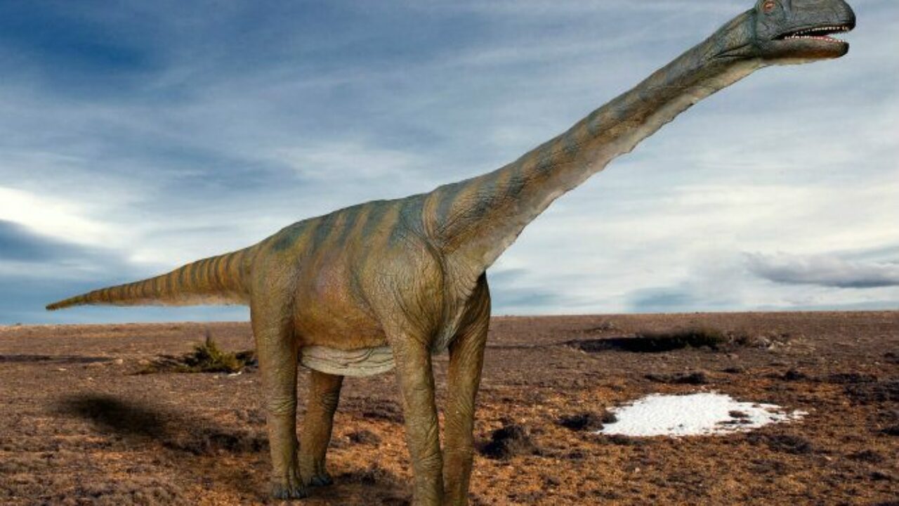 Los dinosaurios se expandieron tras una extinción de especies por un gran cambio  climático - Noticias Ambientales