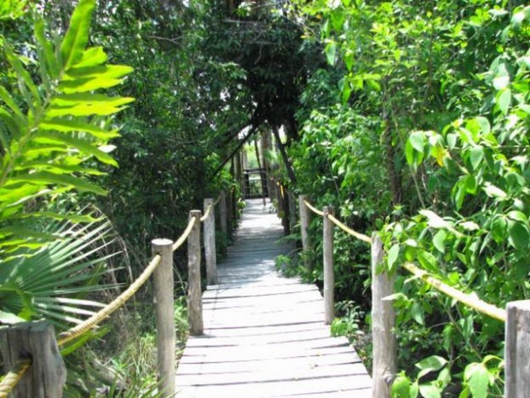 Para la ONU, el ecoturismo erradica la pobreza y protege al medio ambiente