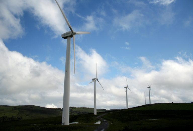La energía eólica generó el 46% de la producción de las energías renovables
