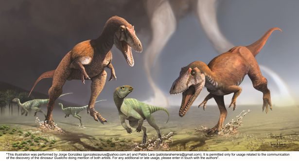 Gualicho', el dinosaurio patagónico que desvela a los científicos  argentinos - Noticias Ambientales