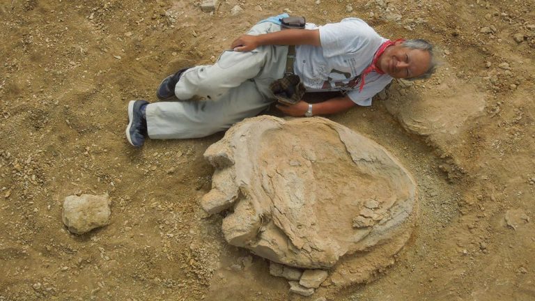 Hallan en Mongolia una de las mayores huellas de dinosaurio del mundo