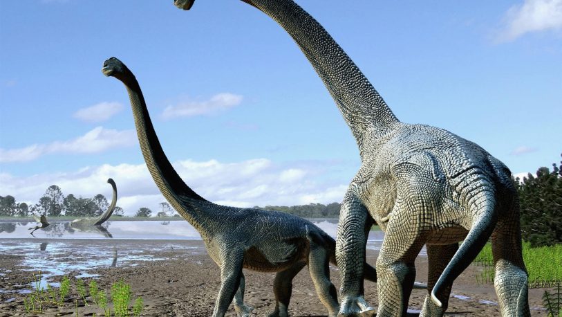 titanosaurio dinosaurio