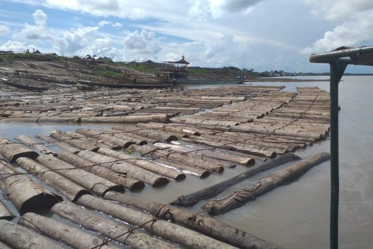 Tráfico de madera en Perú
