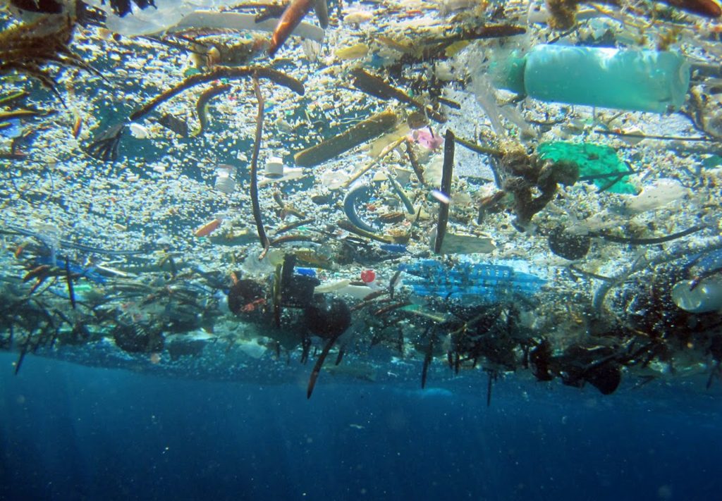 plasticos oceanos