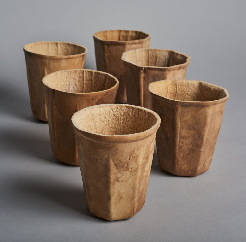 Crean moldes para fabricar vasos de calabazas duraderos y 100% biodegradables - Ambientales