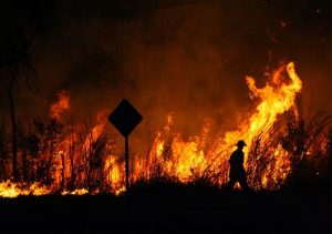 Incendios forestales