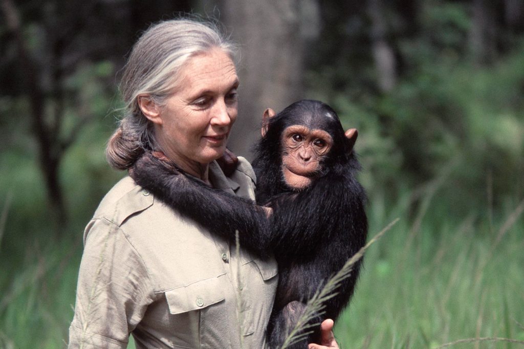 Jane Goodall cumple 90 años