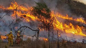 Los focos de incendios en Córdoba se encuentran descontrolados