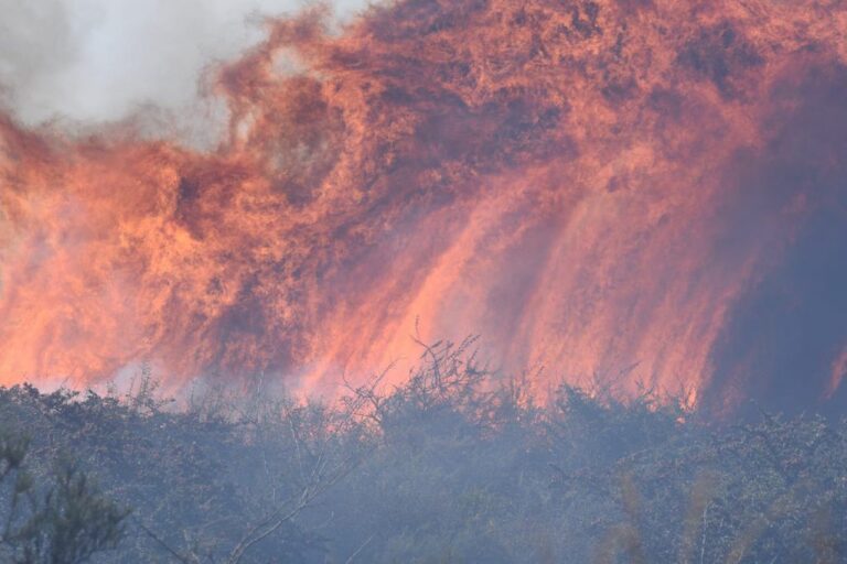 VIDEO | Se combaten varios focos de incendio en Córdoba y Ambiente Nación envía ayuda