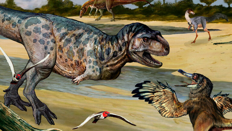 Descubren una nueva especie de dinosaurio depredador en Neuquén