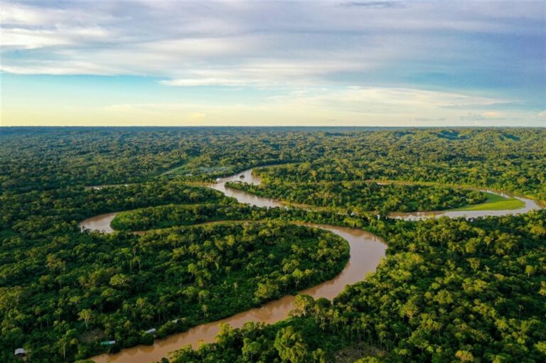 Ecuador convierte deuda por naturaleza: destinará 460 millones de dólares a la Amazonía