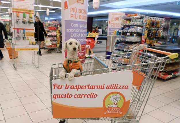 Carritos de supermercado para perros con los que hacer la compra con tu  mascota
