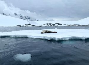 Melting ice reaches extreme levels.
