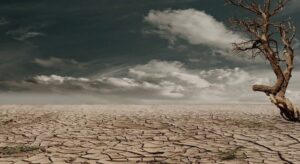 Lands are drying up worldwide and the UN warns.