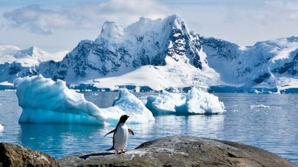 Contaminación en la Antártida