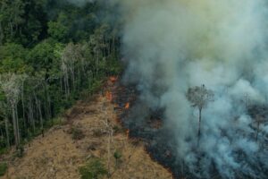 Los incendios en Latinoamérica causaron desastres en 2024.