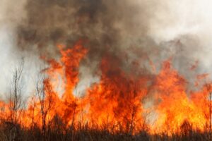 Incendios
