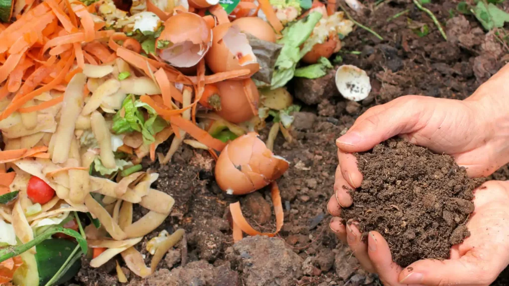 compost casero