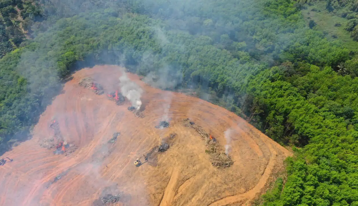 Deforestacion-Brasil