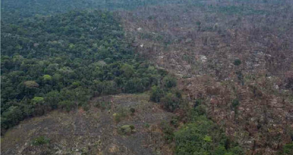 Deforestación de serlva tropical en 2022