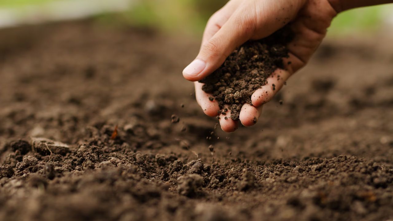 agricultura regenerativa