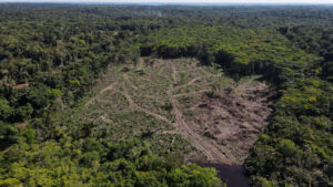 amazonia