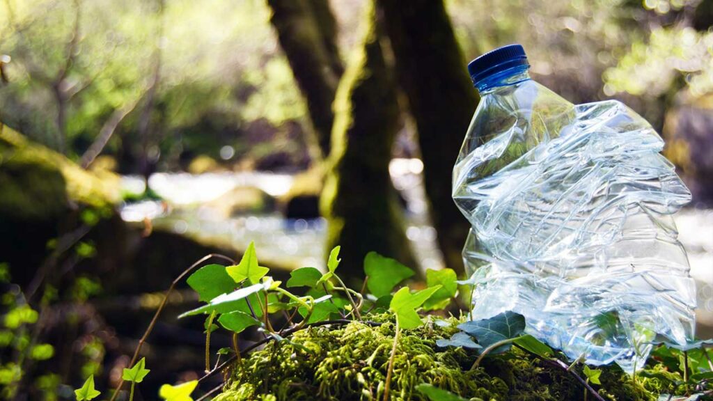 plásticos biodegradables