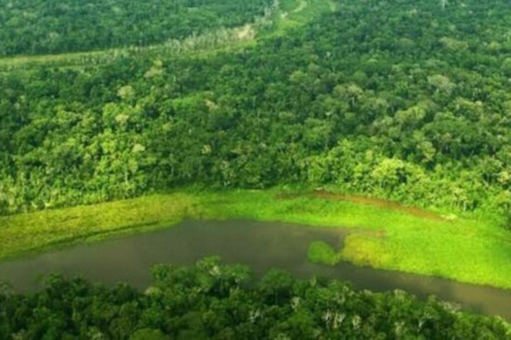 Fondo mundial para la biodiversidad