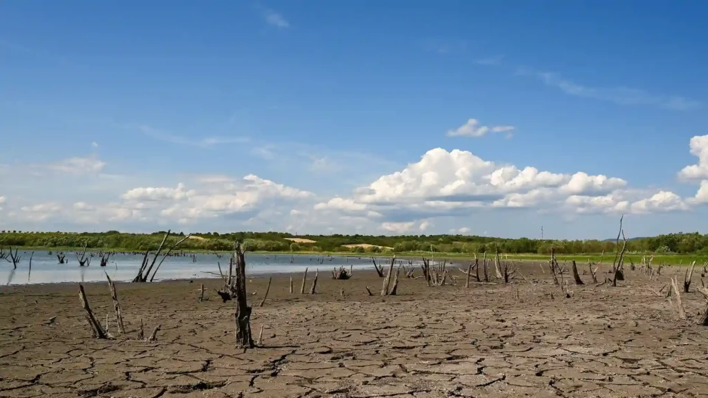 cambio climatico