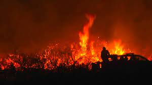 Incendios forestales devastadores en Hawai