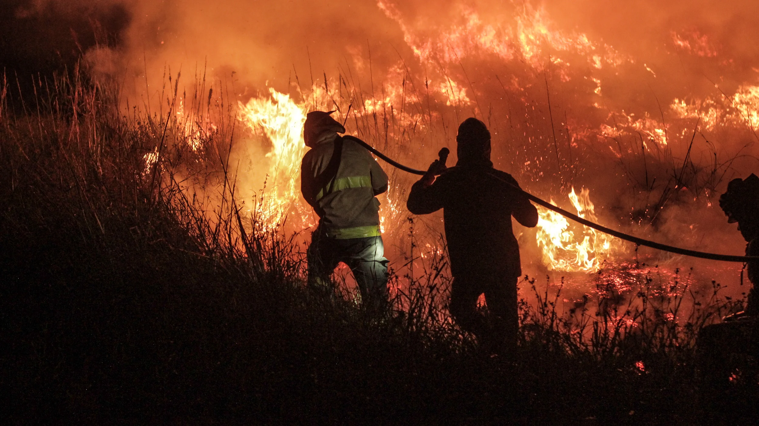 incendios forestales