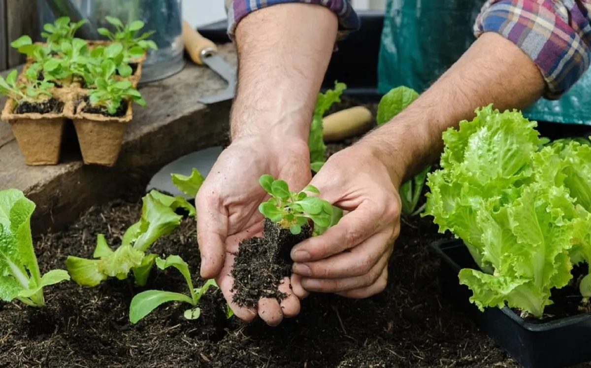 Agroecología