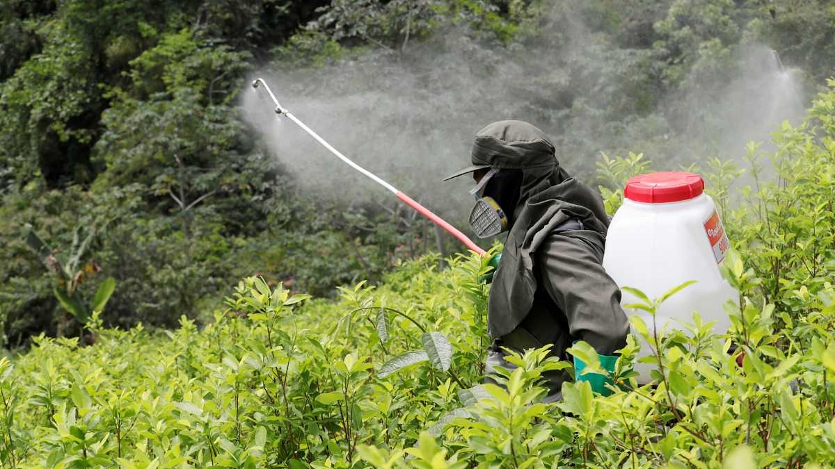 Glyphosate