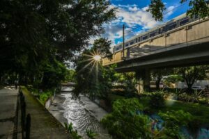 Medellín ha sido premiada por su planificación urbana de corredores verdes y es mundialmente conocida por su hábitat ecológico.